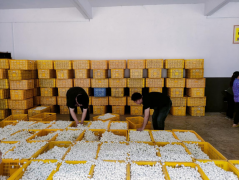 【答卷十四五·央企惠平易近生】从赋能…